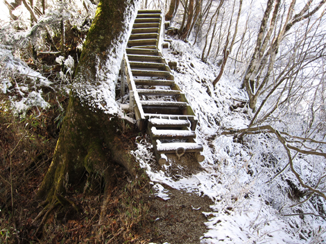 20191129hike (356)
